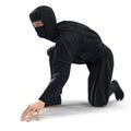 Ninja Taking Fighting Pose On White Background. 3D Illustration, isolated