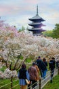 Ninnaji is one of Kyoto\'s great temples listed as World Heritage Sites famous for Omuro Cherries,
