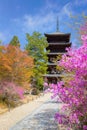 Ninnaji temple in Kyoto, Japan listed as World Heritage Sites famous for Omuro Cherries