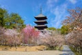 Ninnaji templein Kyoto, Japan listed as World Heritage Sites famous for Omuro Cherries