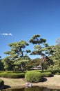 Ninomaru Garden at the Tokyo Imperial Palace. Tokyo. Japan Royalty Free Stock Photo