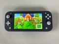 A Nintendo Switch Lite with the game Animal Crossing New Horizons running on it