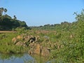 Niokolo Koba national Park, Senegal. Royalty Free Stock Photo