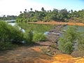 Niokolo Koba national Park, Senegal. Royalty Free Stock Photo