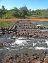 Niokolo Koba national Park, Senegal. Royalty Free Stock Photo