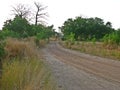 Niokolo Koba national Park, Senegal. Royalty Free Stock Photo