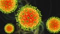 Nipah virus, a newly emerging bat-borne virus
