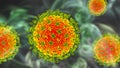 Nipah virus, a newly emerging bat-borne virus