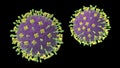 Nipah virus, a newly emerging bat-borne virus