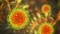 Nipah virus, a newly emerging bat-borne virus