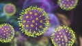 Nipah virus, a newly emerging bat-borne virus
