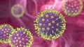 Nipah virus, a newly emerging bat-borne virus