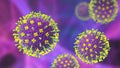 Nipah virus, a newly emerging bat-borne virus