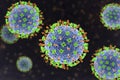 Nipah virus, a newly emerging bat-borne virus