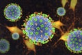 Nipah virus, a newly emerging bat-borne virus