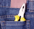Nipper in blue jeans pocket Royalty Free Stock Photo