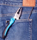 Nipper in blue jeans pocket Royalty Free Stock Photo