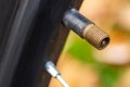 Nipple on bicycle rim for tubeless system close-up