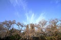 Nirayama reverberatory furnaces and cherry blossoms Royalty Free Stock Photo