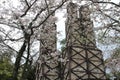 Nirayama reverberatory furnaces and cherry blossoms Royalty Free Stock Photo