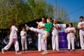 Powerful Capoeira Display: Dynamic Martial Arts Dance in the Sun