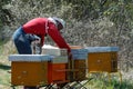 Beekeeper in apiary with a smoker
