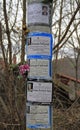 Traditional street obituaries on pole in city Nis