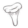 Niscalo mushroom in line art style. Saffron Milk Cap mushroom hand drawn. Vector illustration isoltaed on a white