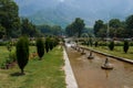 Nishat bagh, Mughal gardens, Srinagar