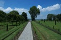 Nishat Garden scene in Srinagar-2