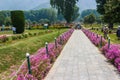 Nishat garden, Srinagar, Jammu and Kashmir Royalty Free Stock Photo