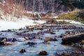 Nishi river in winter Royalty Free Stock Photo