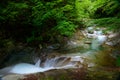 Nishizawa Valley in Yamanashi, Japan Royalty Free Stock Photo