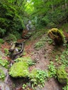 Nishizawa Valley in Yamanashi, Japan