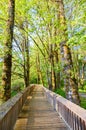 Nisqually National Wildlife Refuge Royalty Free Stock Photo