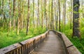 Nisqually National Wildlife Refuge Royalty Free Stock Photo