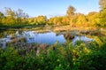 Nisqually National Wildlife Refuge Royalty Free Stock Photo