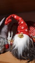 Scandinavian Nisse or Cristmas Goblin with red conical cap Royalty Free Stock Photo