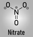 Nitrate anion, chemical structure. Skeletal formula. Flat design
