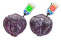 Nitrate testers with purple cabbages. Measurement of nitrate levels in red cabbage, normal range and higher than norm. 3D