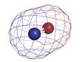 Nitric oxide (NO) free radical and signaling molecule.