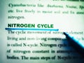 nitrogen cycle system displaying on text form paper sheet Royalty Free Stock Photo