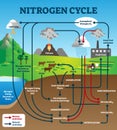 Nitrogen cycle vector illustration. Labeled educational chemical scheme.
