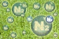 Nitrogen the most important fertilizer for the lawn - concept