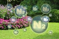 Nitrogen the most important fertilizer for the lawn - concept