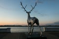 Nizhny Novgorod, Russia July 25, 2017: metal sculpture of a deer on the embankment. The symbol of the city