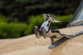 Figurine of deer on the hood of GAZ M21 Volga at Classic Soviet Car Exhibition