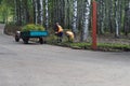Nizhny Novgorod, Russia, Switzerland Park, Gagarin Avenue 113, 02.09.2021.Gagarin lanting young trees in the park.