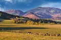 Nizke Tatry mountains with Prasiva and Kozi Chrbat peaks from meadows near Lubietova village in Polana