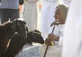 Man selling his goat at a market in Nizwa